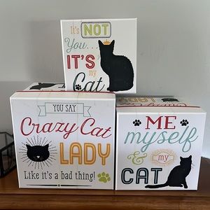 NWT - Set of 3, Nesting “Crazy Cat Lady” Cat Themed Decorative Storage Boxes